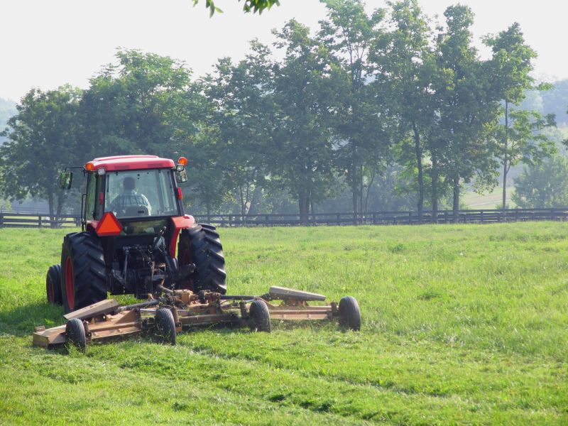 Field Brush Hogging